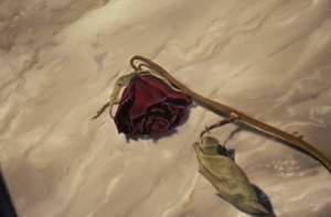 rose.jpg-nggid0255-ngg0dyn-300x300x100-00f0w010c010r110f110r010t010