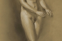 thumbs_femaledrawingfinal-copy